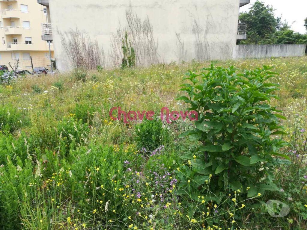 Terrenos Valongo - Fotos para Valongo-Terreno parta construção em altura. Alfena (AR 01974)