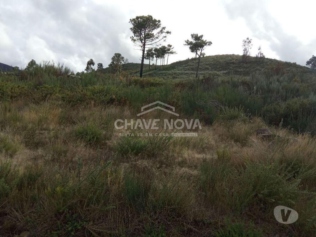 Terrenos Cinfães - Fotos para Cinfaes-Terreno agrícola Cinfães (AR 02179)