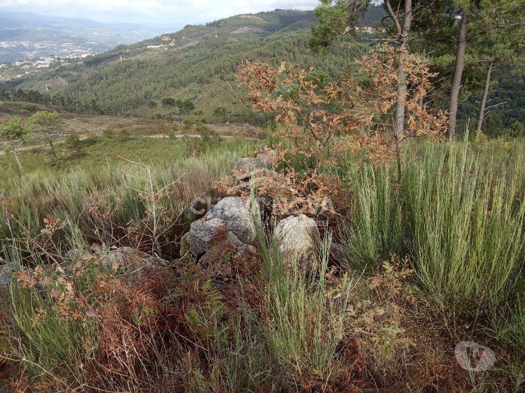 Terrenos Cinfães - Fotos para Cinfaes-Terreno agrícola Cinfães (AR 02179)