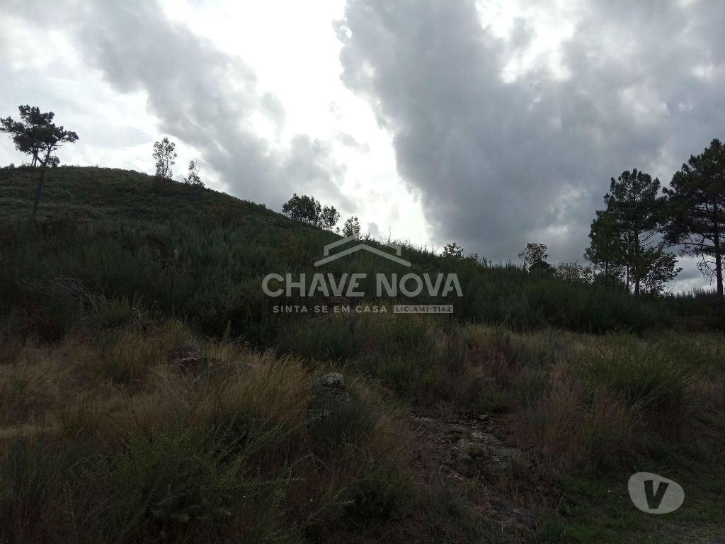Terrenos Cinfães - Fotos para Cinfaes-Terreno agrícola Cinfães (AR 02179)