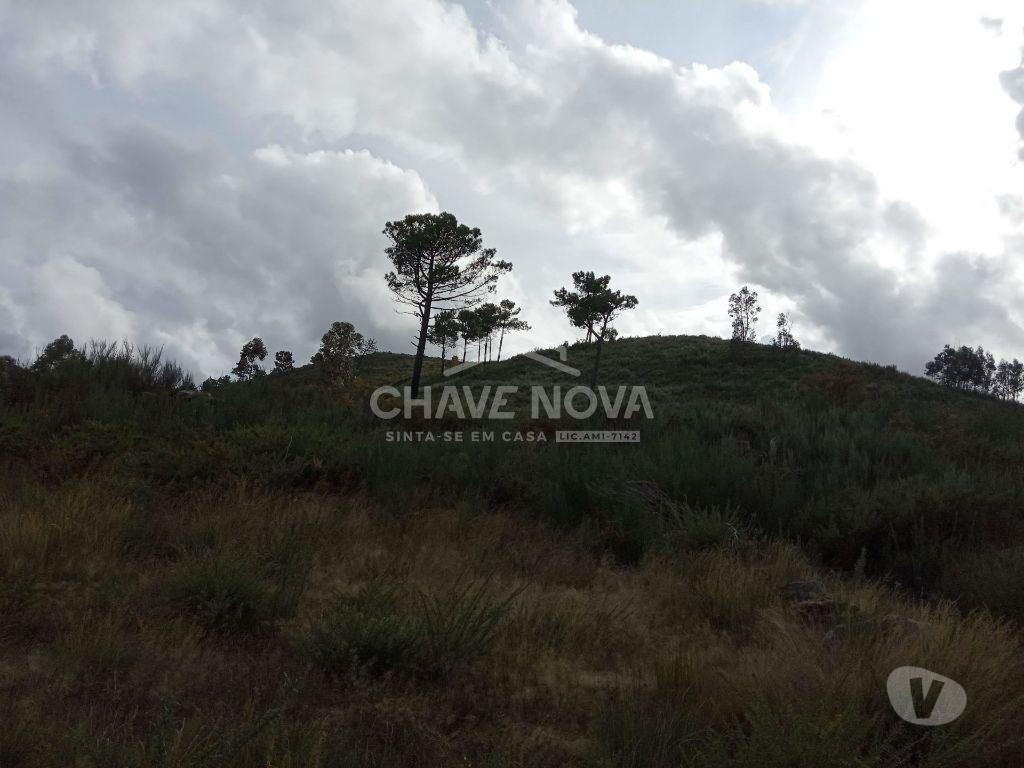 Terrenos Cinfães - Fotos para Cinfaes-Terreno agrícola Cinfães (AR 02179)