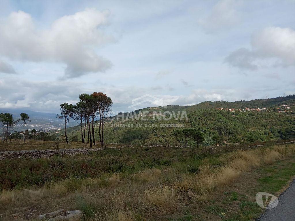 Terrenos Cinfães - Fotos para Cinfaes-Terreno agrícola Cinfães (AR 02179)