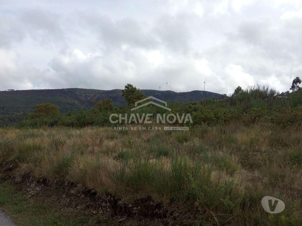 Terrenos Cinfães - Fotos para Cinfaes-Terreno agrícola Cinfães (AR 02179)