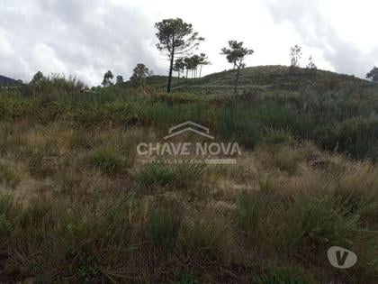 Terrenos a venda - Fotos para Cinfaes-Terreno agrícola Cinfães (AR 02179)