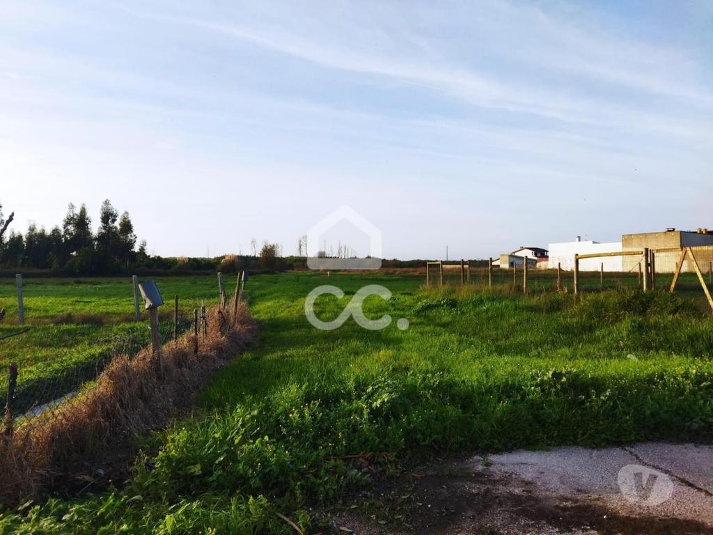 Terrenos Marinha Grande - Fotos para Localização: Vieira de Leiria----Terreno com a área de 1.087 m2
