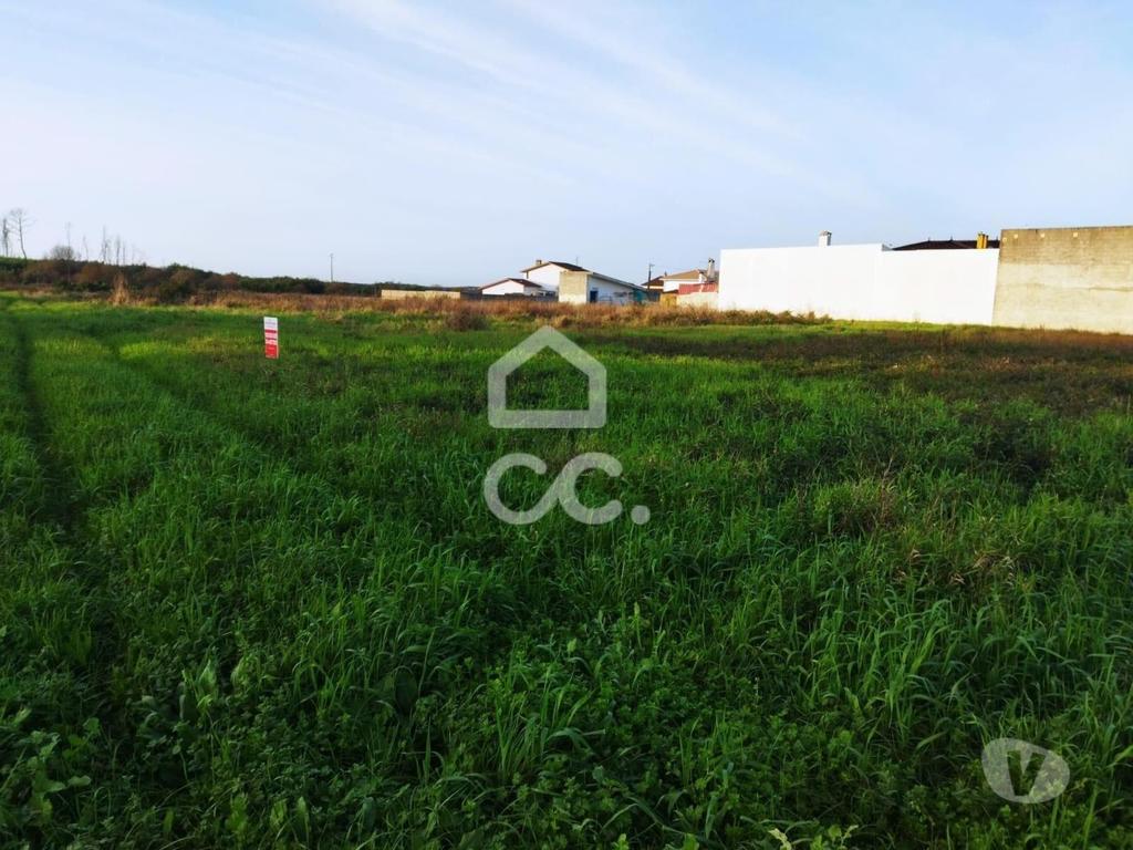 Terrenos Marinha Grande - Fotos para Localização: Vieira de Leiria----Terreno com a área de 1.087 m2