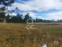 VIEIRA DE LEIRIA----Terreno com a área de 780 m2 próximo de