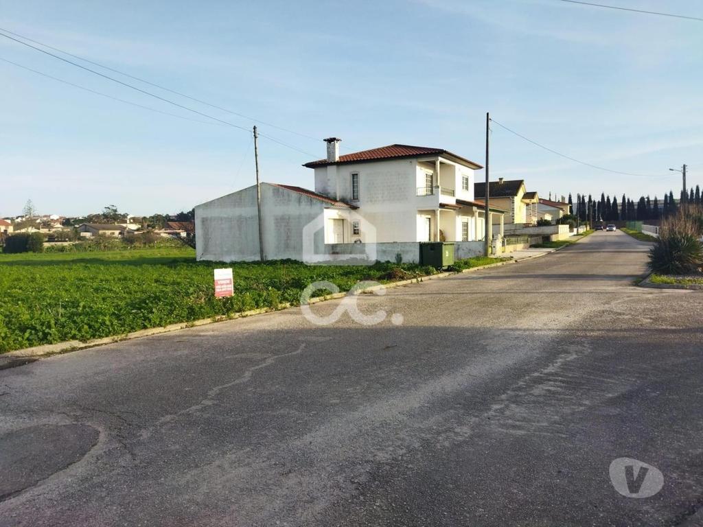 Terrenos Marinha Grande - Fotos para Localização: Vieira de Leiria------Terreno com a área de 8.380
