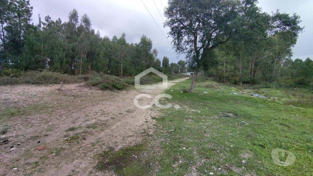 Terrenos Marinha Grande - Fotos para Terreno com viabilidade para construção, com bons acessos.