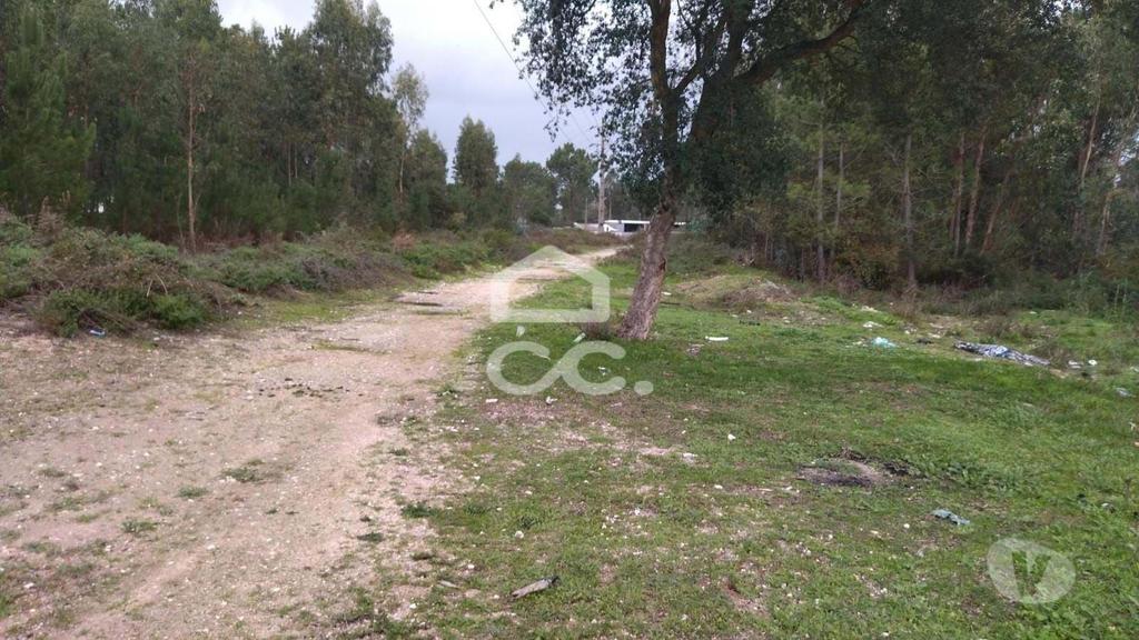 Terrenos Marinha Grande - Fotos para Terreno com viabilidade para construção, com bons acessos.