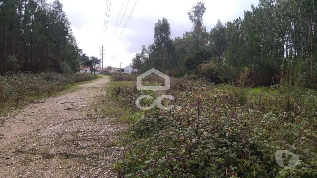 Terrenos Marinha Grande - Fotos para Terreno com viabilidade para construção, com bons acessos.