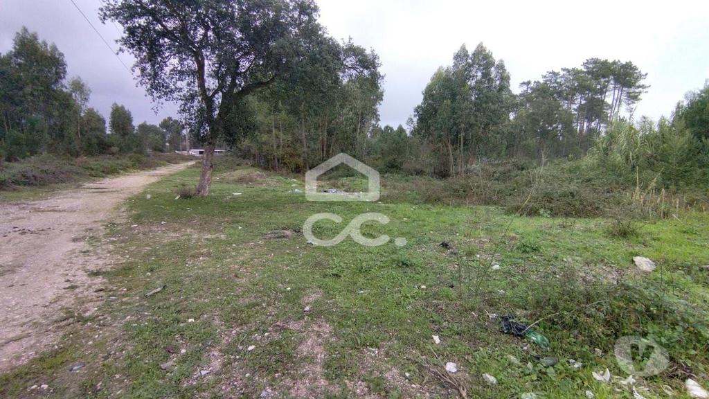 Terrenos Marinha Grande - Fotos para Terreno com viabilidade para construção, com bons acessos.