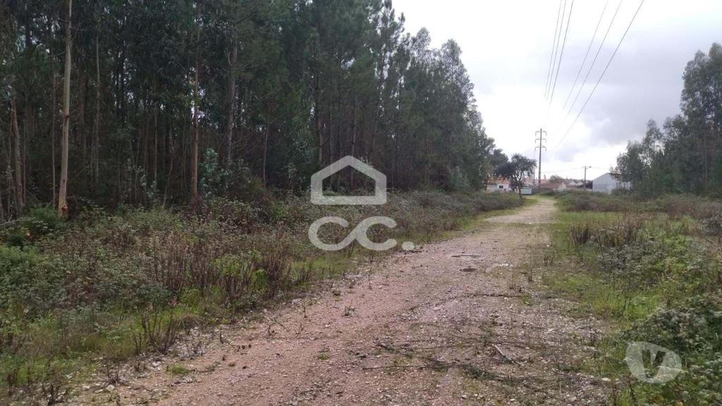 Terrenos Marinha Grande - Fotos para Terreno com viabilidade para construção, com bons acessos.
