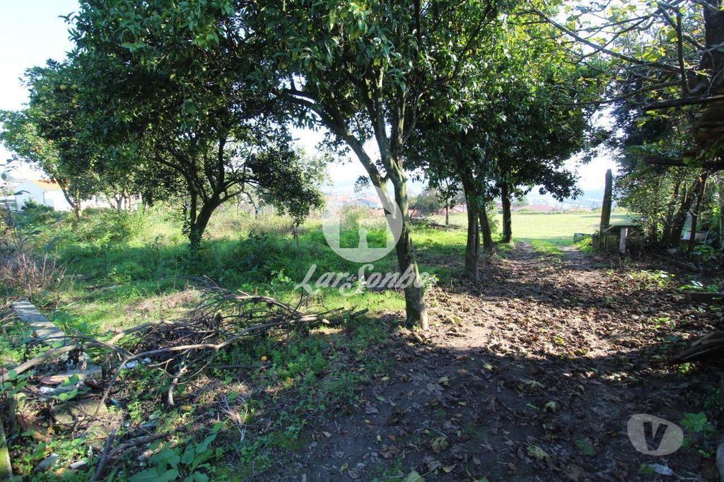 Comprar Loja Barcelos - Fotos para Terreno para construção de moradias