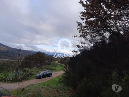 Terrenos - Fotos para Terreno rústico Ribas celorico de Basto (256-T-00627)