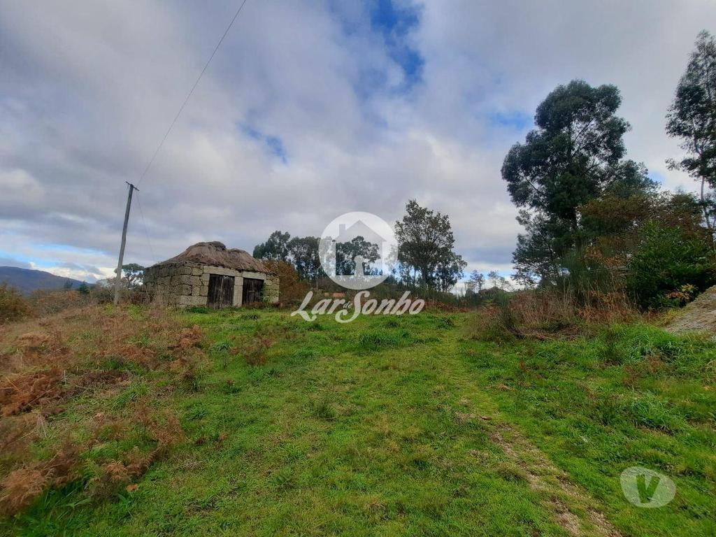 Terrenos Celorico de Basto - Fotos para Terreno c alprendre Basto S. Clemente Celorico de Basto