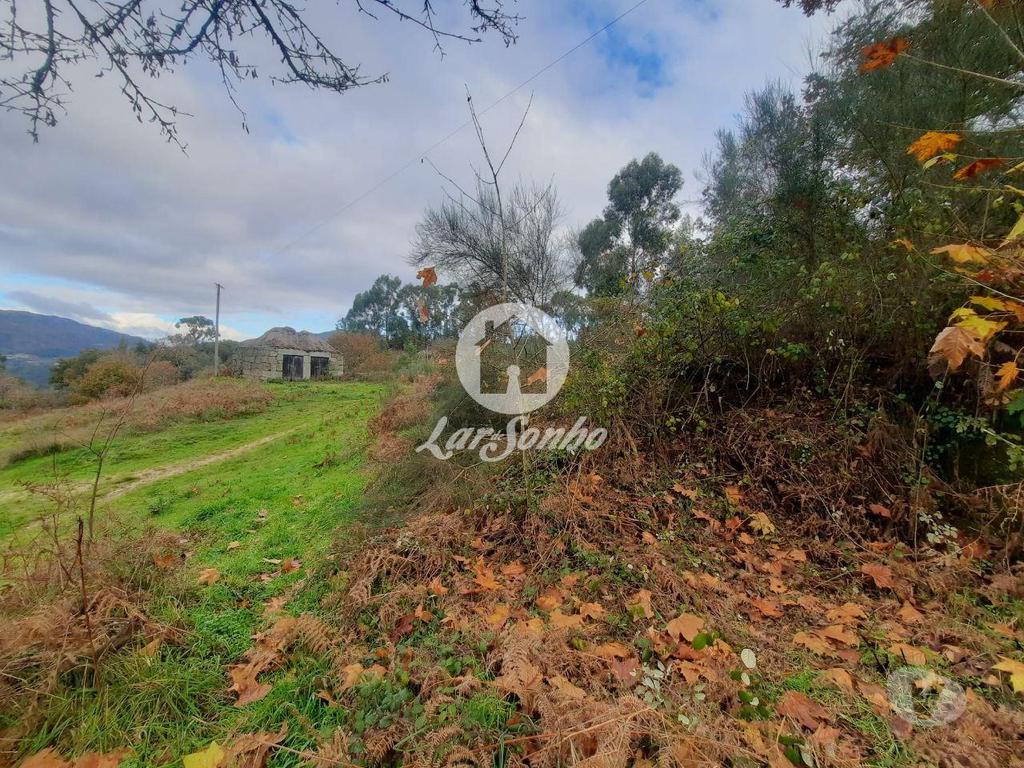 Terrenos Celorico de Basto - Fotos para Terreno c alprendre Basto S. Clemente Celorico de Basto