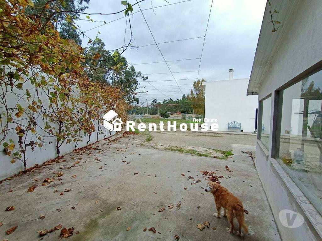 Apartamentos a venda Figueira da Foz - Fotos para Figueira-da-foz-Moradia térrea em Propriedade urbana (VF1593)