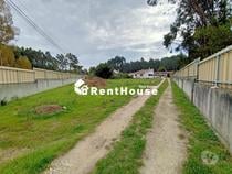 Fotos para Figueira-da-foz-Moradia térrea em Propriedade urbana (VF1593)