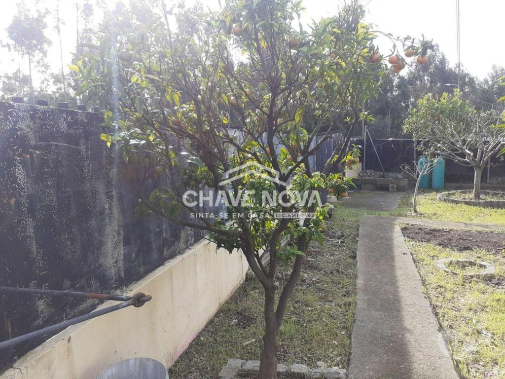 Terrenos Santa Maria da Feira - Fotos para Terreno para construção de moradia (SMF 02339)