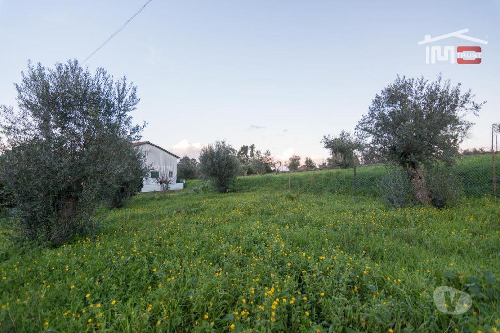 Terrenos Ourém - Fotos para Ourem-Terreno para construção bem localizado (1-T-000524)