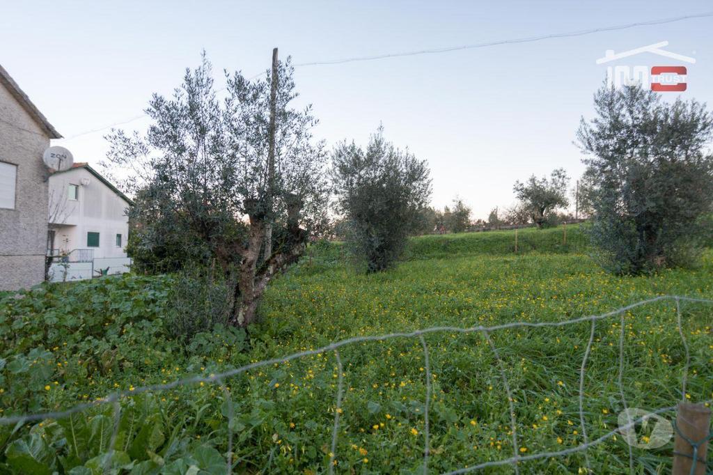 Terrenos Ourém - Fotos para Ourem-Terreno para construção bem localizado (1-T-000524)