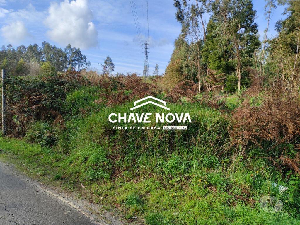 Terrenos Santa Maria da Feira - Fotos para Terreno industrial c projeto aprovado com 2500m2 em Rio Meão -