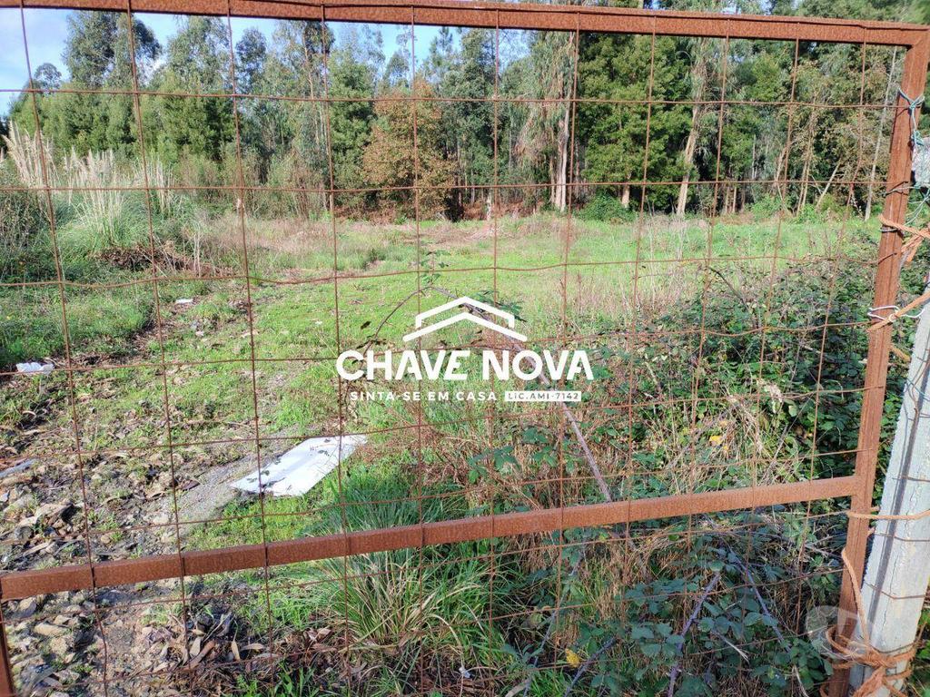 Terrenos Santa Maria da Feira - Fotos para Terreno industrial c projeto aprovado com 2500m2 em Rio Meão -
