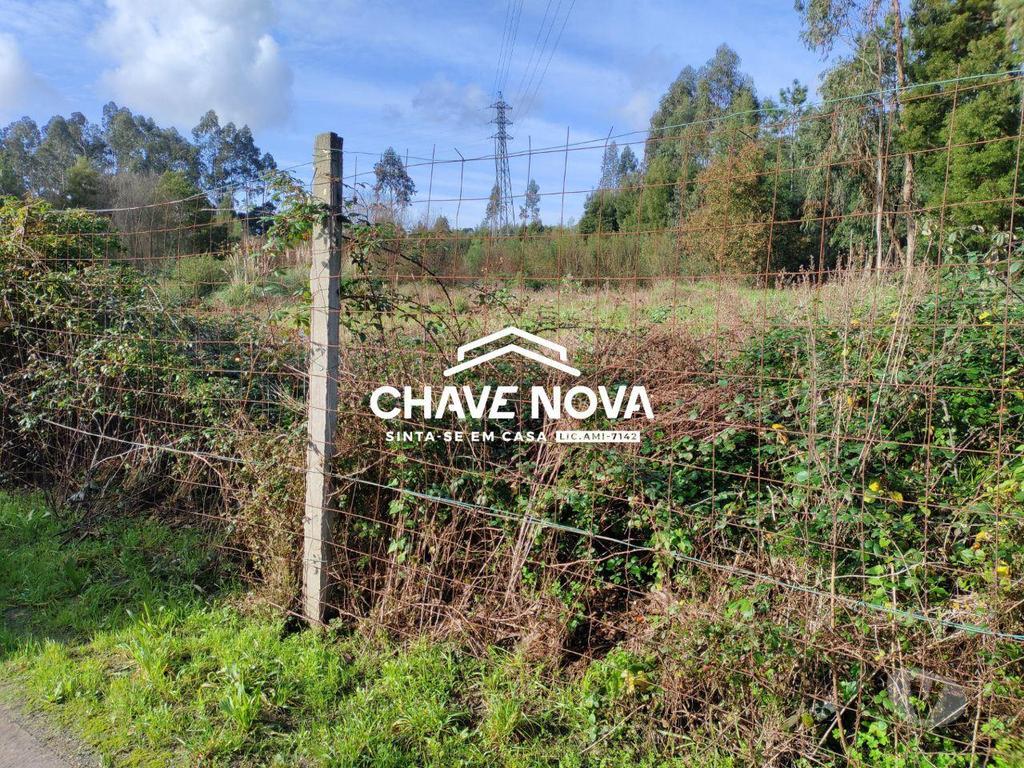 Terrenos Santa Maria da Feira - Fotos para Terreno industrial c projeto aprovado com 2500m2 em Rio Meão -