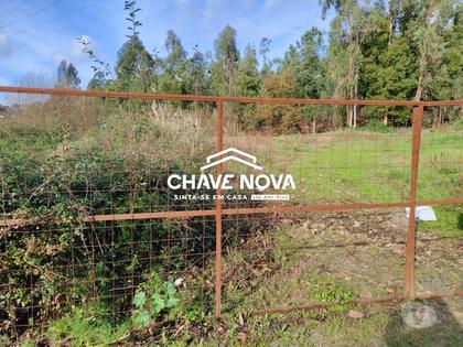 Terrenos - Fotos para Terreno industrial c projeto aprovado com 2500m2 em Rio Meão -