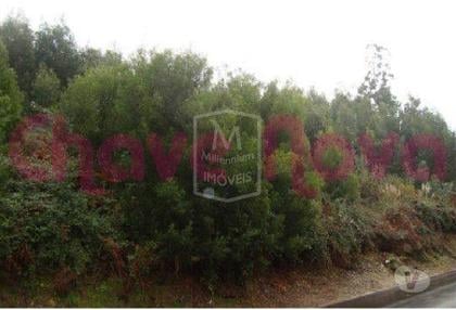 Terrenos - Fotos para Vila-nova-de-gaia-Terreno Urbano - Perosinho (AR 00377)