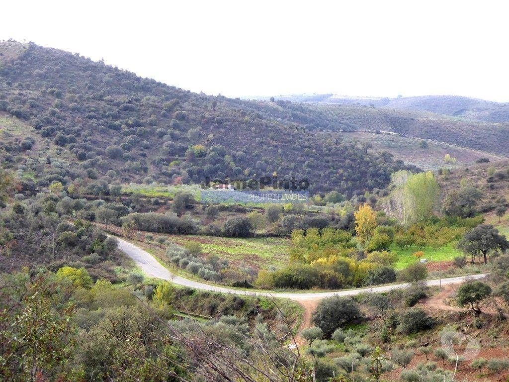 Terrenos Alfândega da Fé - Fotos para 12.000m2 Terra Agrícola p plantações novas. Bragança, Alfândega