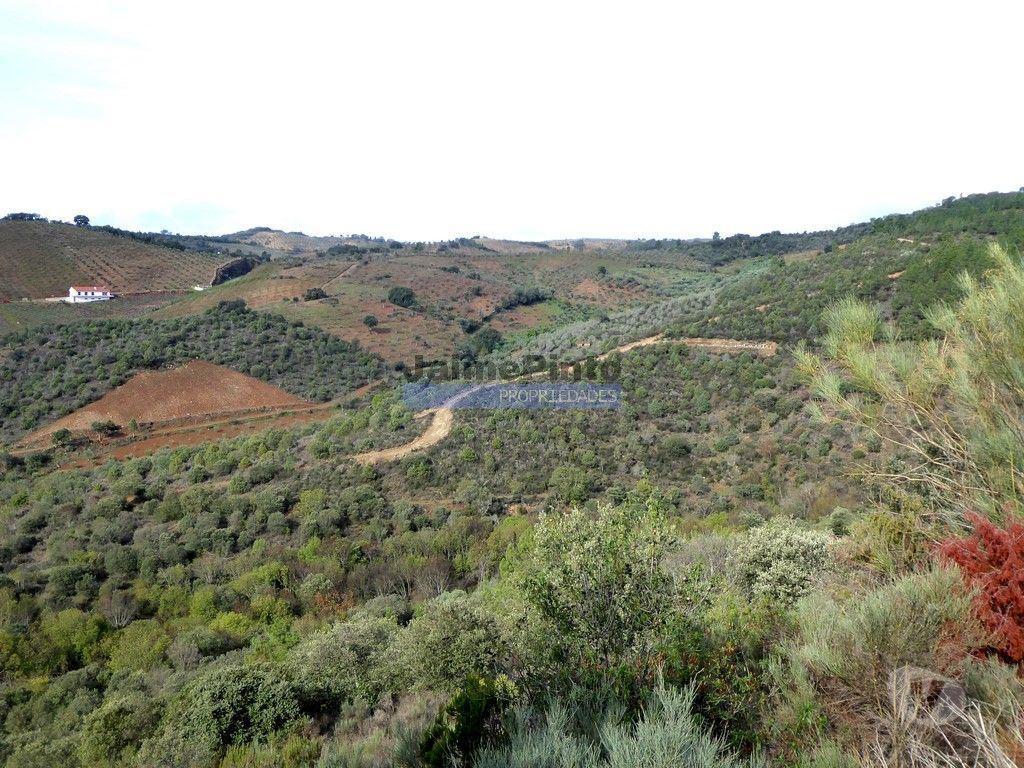 Terrenos Alfândega da Fé - Fotos para 12.000m2 Terra Agrícola p plantações novas. Bragança, Alfândega