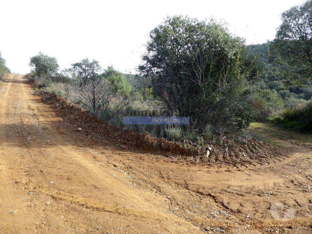 Terrenos Alfândega da Fé - Fotos para 12.000m2 Terra Agrícola p plantações novas. Bragança, Alfândega