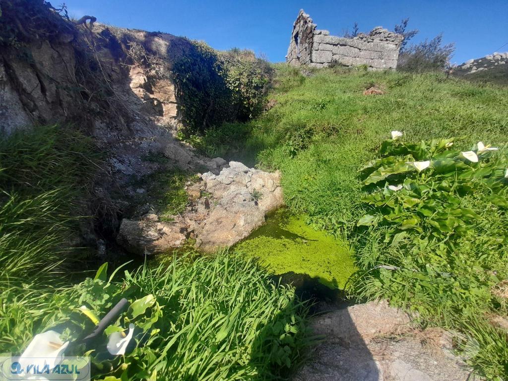 Comprar Loja Marco de Canaveses - Fotos para Quinta agrícola em Soalhães Marco de Canavezes