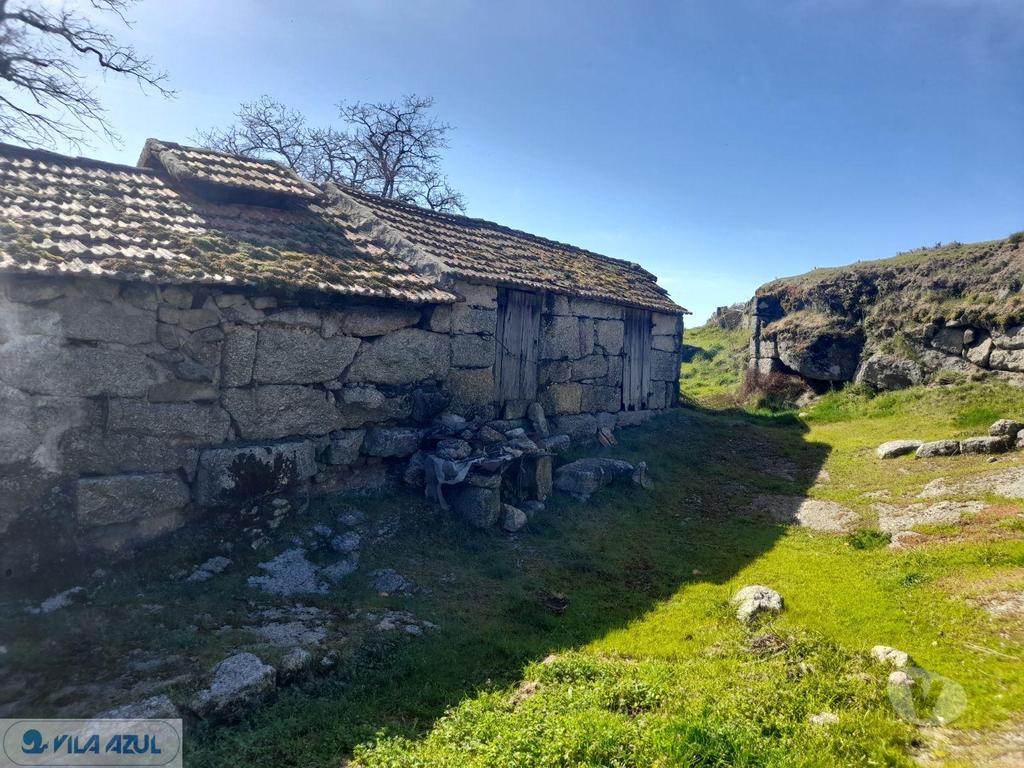 Comprar Loja Marco de Canaveses - Fotos para Quinta agrícola em Soalhães Marco de Canavezes