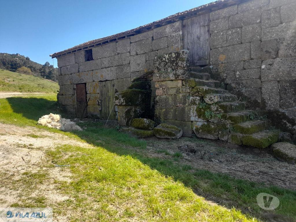 Comprar Loja Marco de Canaveses - Fotos para Quinta agrícola em Soalhães Marco de Canavezes