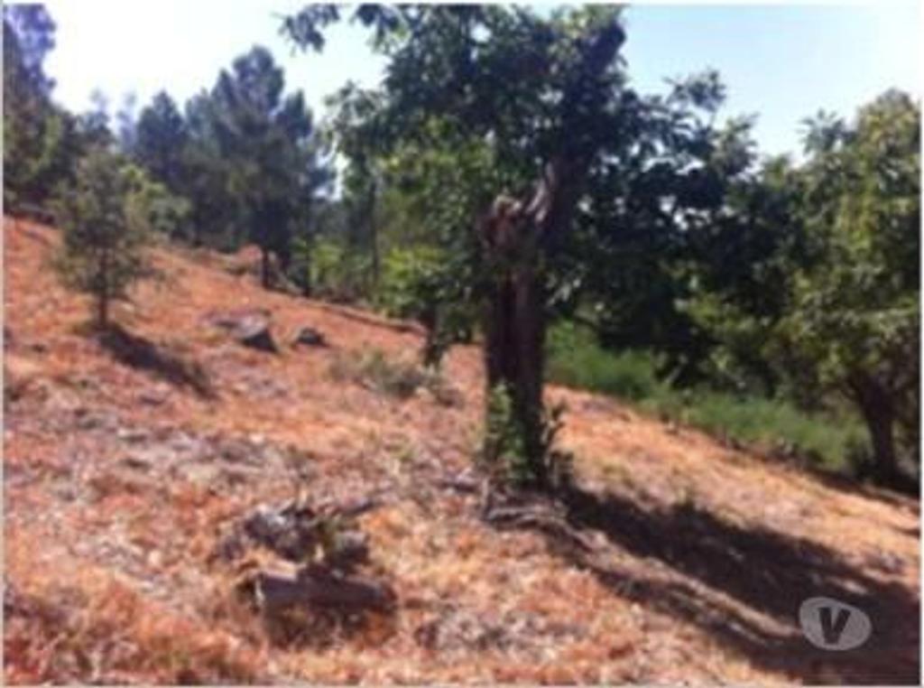 Terrenos Portalegre - Fotos para Portalegre-Quinta - São Julião (MG.10544)