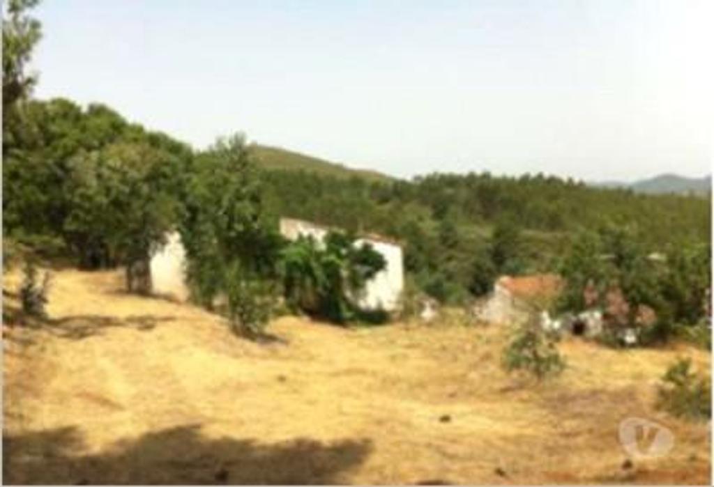Terrenos Portalegre - Fotos para Portalegre-Quinta - São Julião (MG.10544)