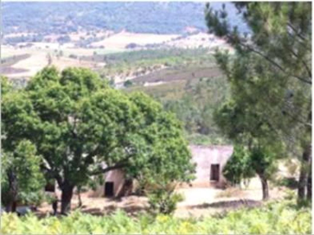 Terrenos Portalegre - Fotos para Portalegre-Quinta - São Julião (MG.10544)