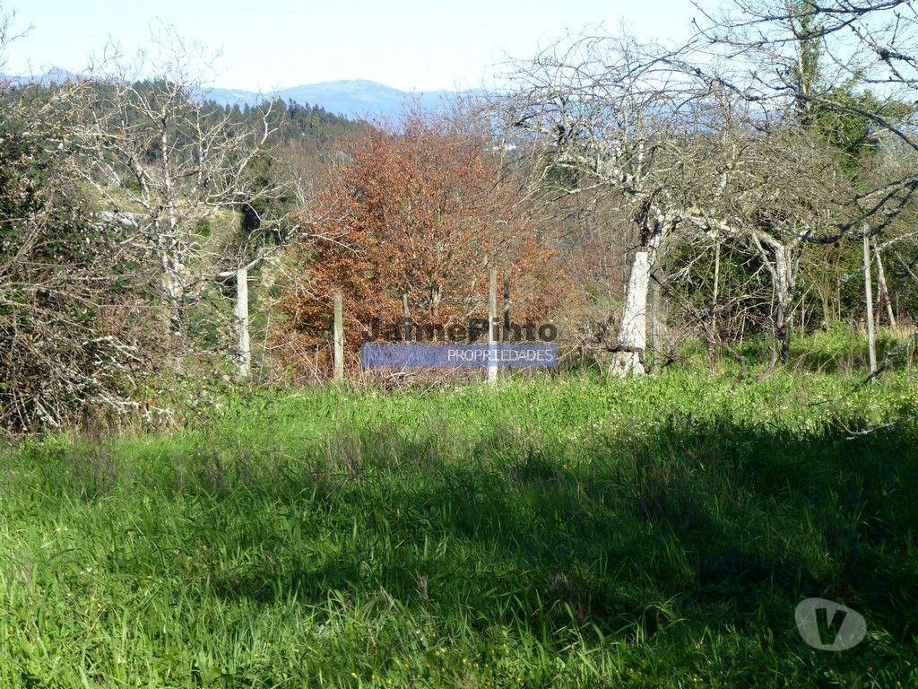 Comprar Loja Santa Comba Dão - Fotos para Terreno p construção moradia ou habitações unifamiliares....