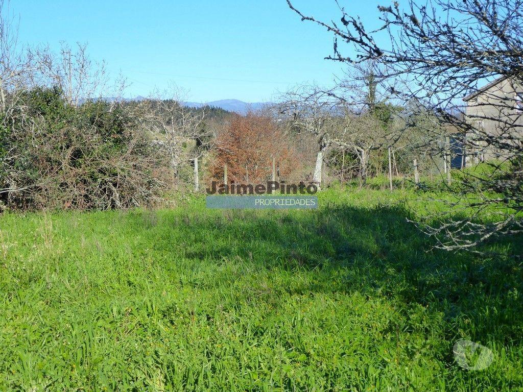 Comprar Loja Santa Comba Dão - Fotos para Terreno p construção moradia ou habitações unifamiliares....