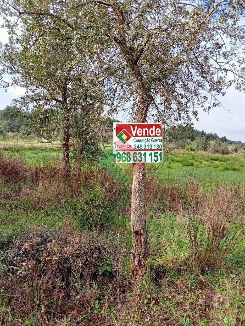 Terrenos Ponte de Sor - Fotos para Terreno rústico, para venda, Ponte de Sor - Longomel (DL.11156)