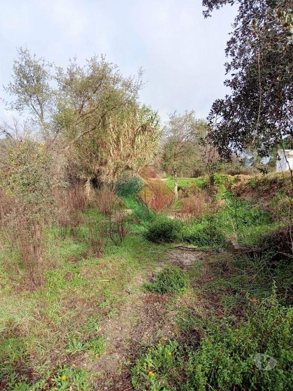 Terrenos Ponte de Sor - Fotos para Terreno rústico, para venda, Ponte de Sor - Longomel (DL.11156)