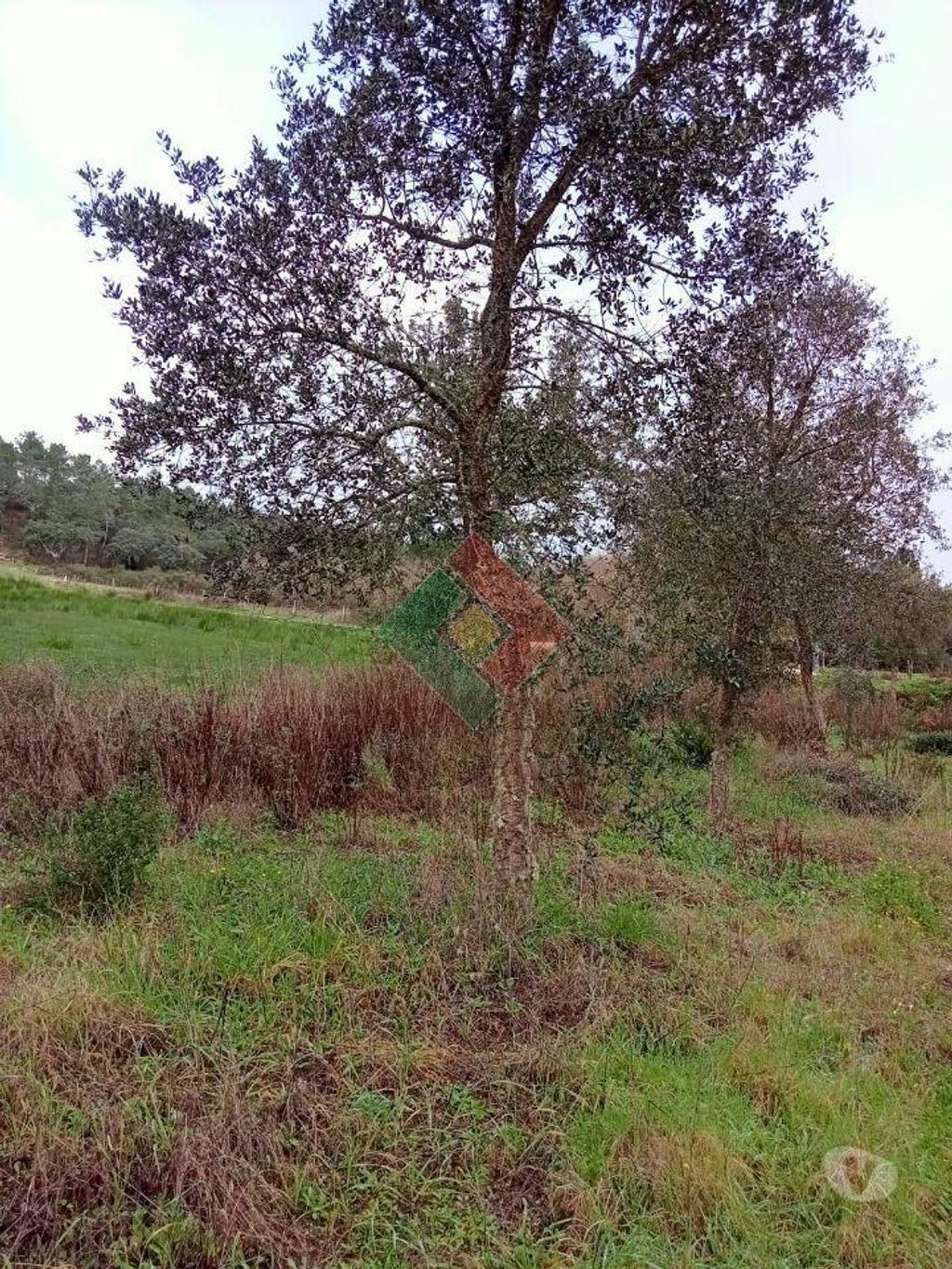 Terrenos Ponte de Sor - Fotos para Terreno rústico, para venda, Ponte de Sor - Longomel (DL.11156)