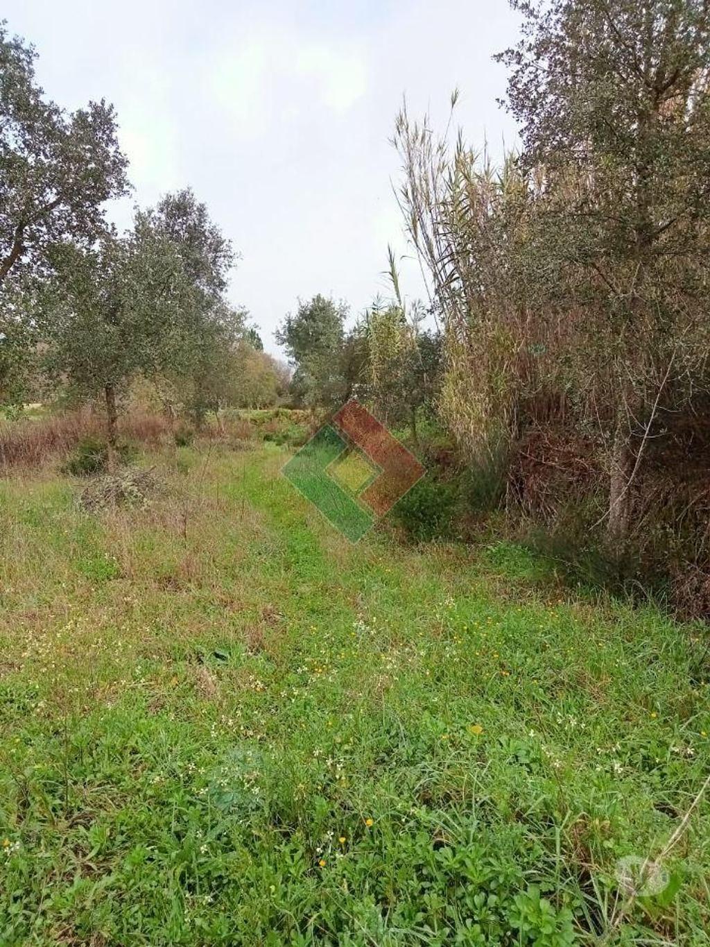 Terrenos Ponte de Sor - Fotos para Terreno rústico, para venda, Ponte de Sor - Longomel (DL.11156)