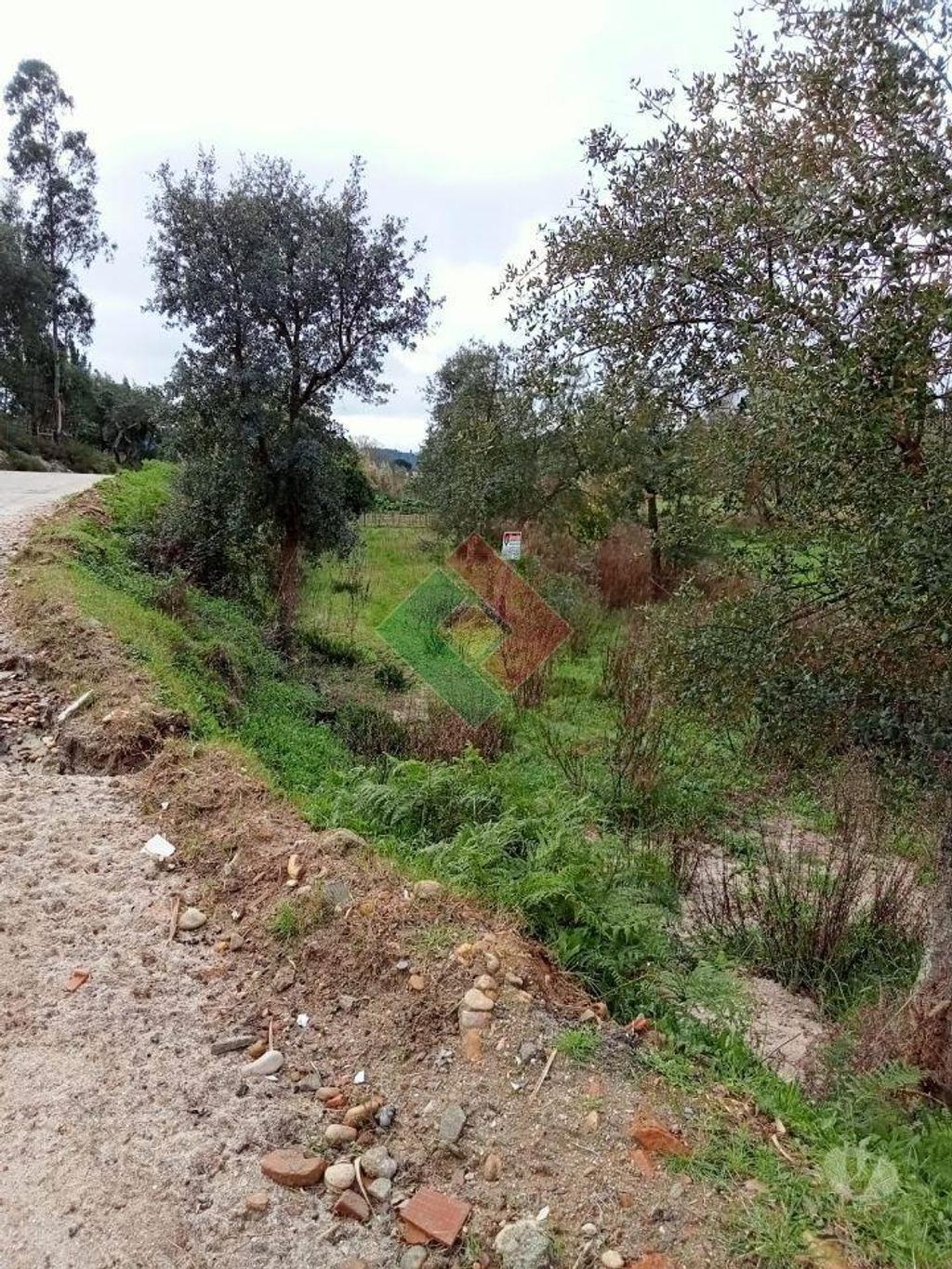Terrenos Ponte de Sor - Fotos para Terreno rústico, para venda, Ponte de Sor - Longomel (DL.11156)