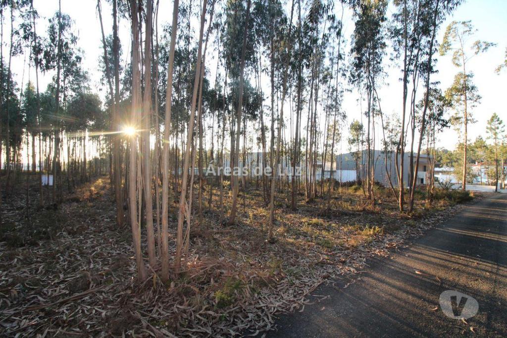 Terrenos Leiria - Fotos para Leiria-Terreno para Moradia Térrea (3425 23)