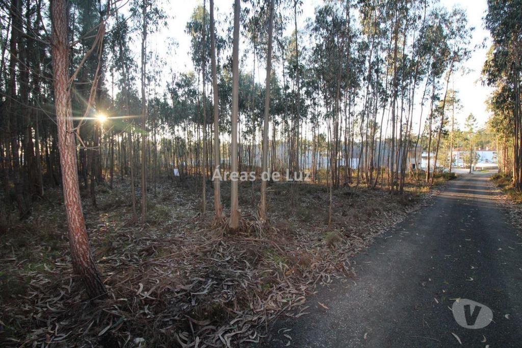 Terrenos Leiria - Fotos para Leiria-Terreno para Moradia Térrea (3425 23)