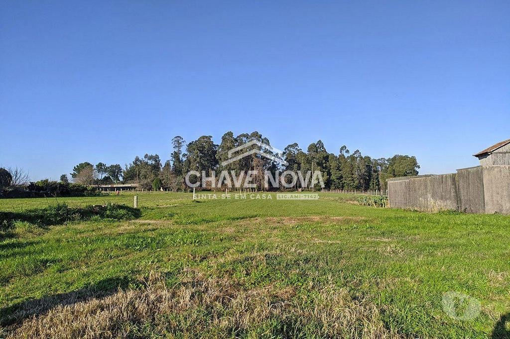 Terrenos Vila Nova de Gaia - Fotos para Terreno com 4000 m2 para construção em Seixezelo - Pedroso